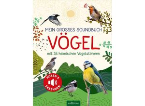 9783845852669 - Mein großes Soundbuch Vögel - Eva Wagner Pappband