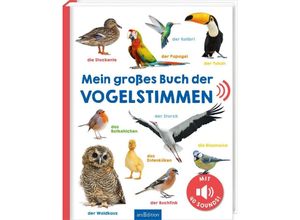 9783845855325 - Mein großes Buch der Vogelstimmen Pappband