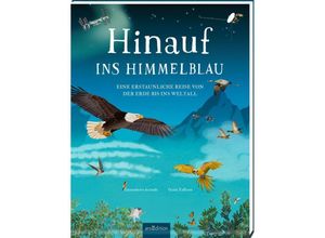 9783845855424 - Hinauf ins Himmelblau - Gianumberto Accinelli Gebunden