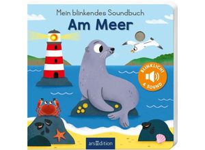 9783845855523 - Mein blinkendes Soundbuch - Am Meer - Maria Höck Pappband