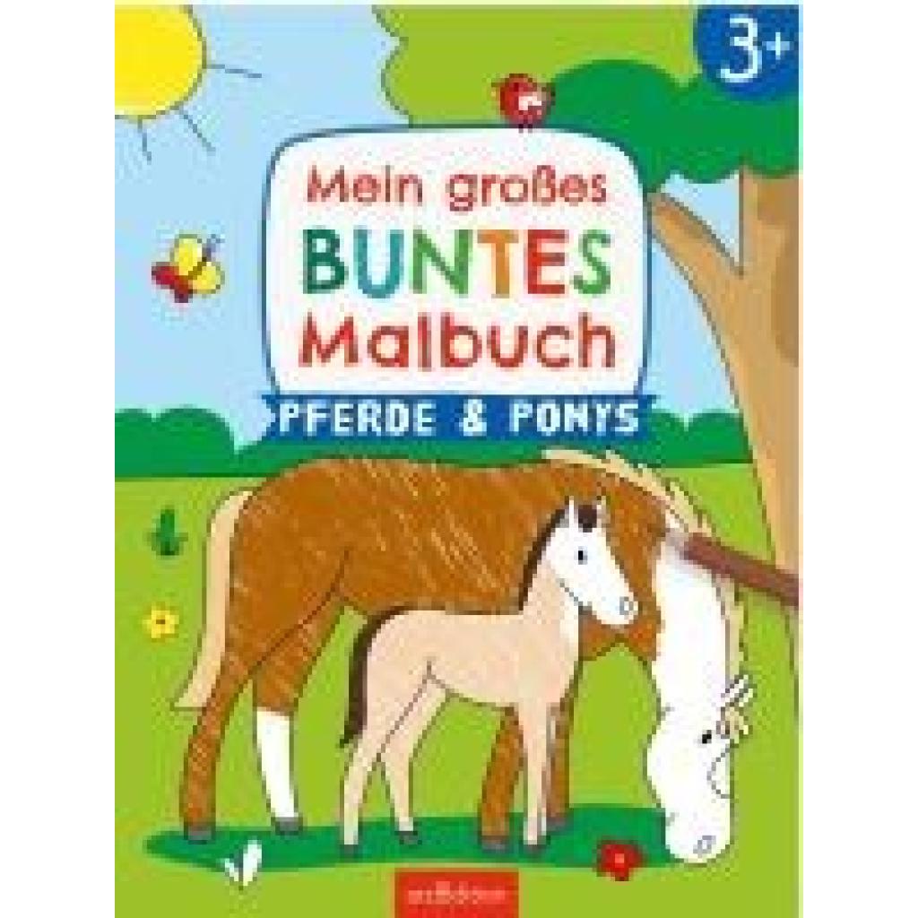 9783845858005 - Mein großes buntes Malbuch - Pferde und Ponys