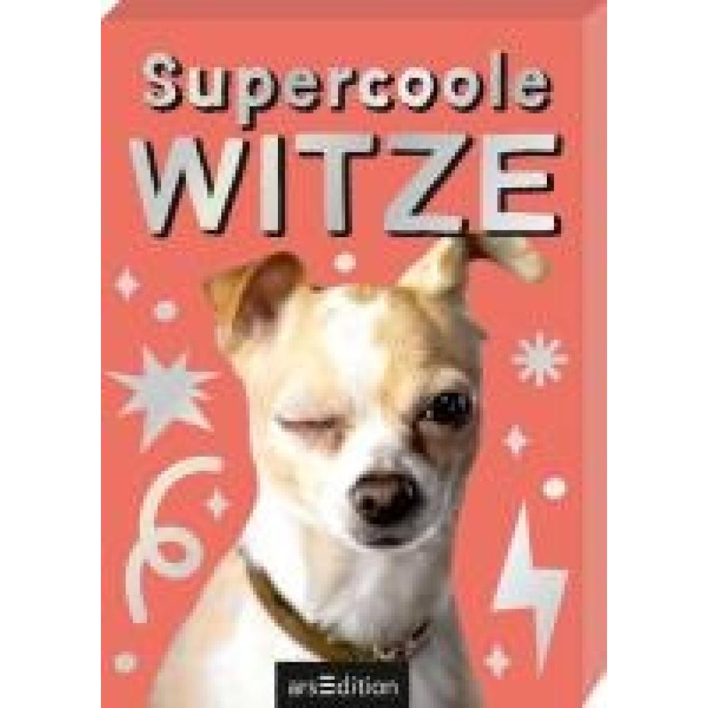 9783845859156 - Löwenberg Ute Supercoole Witze