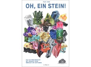 9783847901556 - Oh ein Stein! - Felix Bork Gebunden