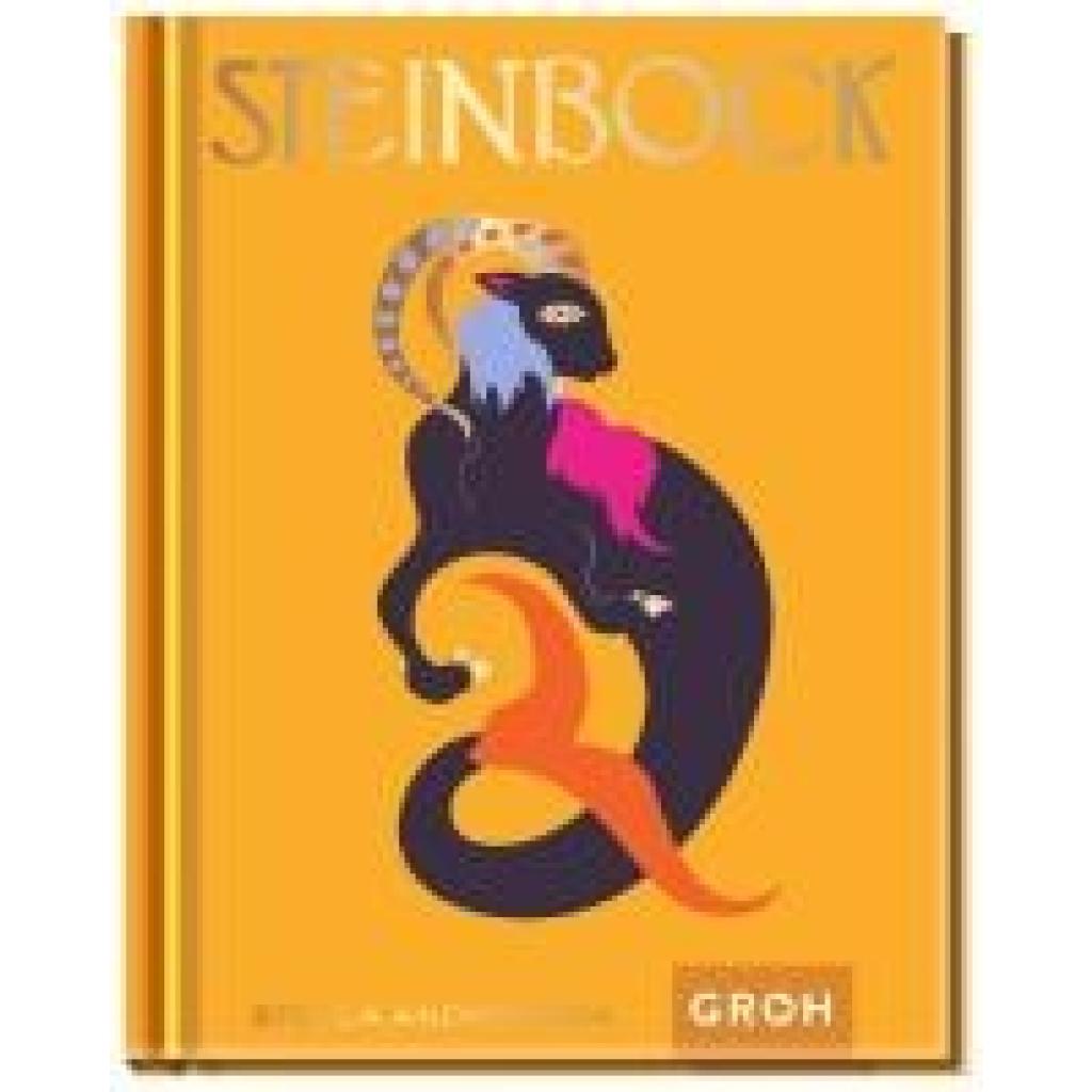 9783848500925 - Andromeda Stella Steinbock