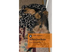 9783849116378 - Afterjucken - Eddy Husterer Kartoniert (TB)