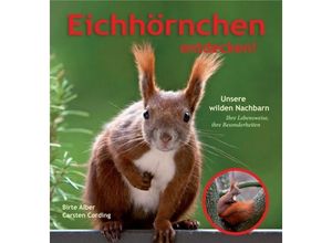 9783849551780 - Eichhörnchen entdecken! - Birte Alber Carsten Cording Carsten Cording Kartoniert (TB)