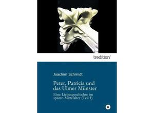 9783849570859 - Peter Patricia und das Ulmer Münster - Joachim Schmidt Kartoniert (TB)