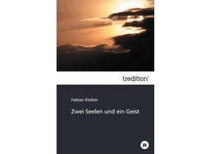 9783849571443 - Zwei Seelen und ein Geist - Fabian Kleiker Kartoniert (TB)