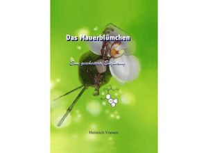 9783849581183 - Das Mauerblümchen - Heinrich Voosen Kartoniert (TB)