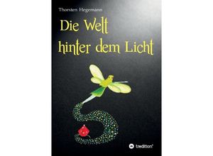 9783849583385 - Die Welt hinter dem Licht - Thorsten Hegemann Kartoniert (TB)