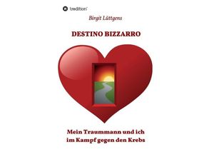 9783849587338 - DESTINO BIZZARRO - Birgit Lüttgens Kartoniert (TB)