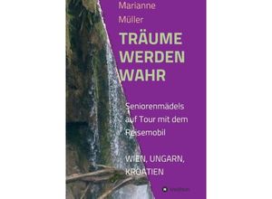 9783849589165 - Träume werden wahr - Marianne Müller Kartoniert (TB)