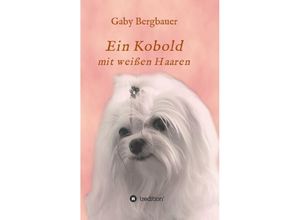 9783849593247 - Ein Kobold mit weißen Haaren - Gabriela Bergbauer Kartoniert (TB)