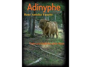 9783849599812 - Adinyphe - René Antoine Fayette Kartoniert (TB)