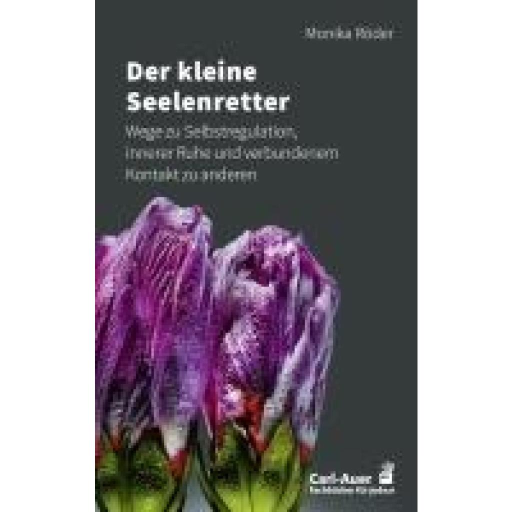 9783849705268 - Röder Monika Der kleine Seelenretter