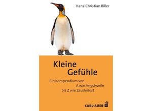 9783849705275 - Kleine Gefühle - Hans-Christian Biller Gebunden