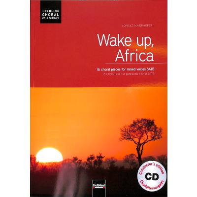 9783850617260 - Wake up Africa