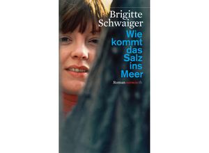 9783852188775 - Wie kommt das Salz ins Meer - Brigitte Schwaiger Taschenbuch