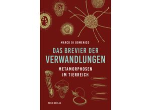 9783852568805 - Das Brevier der Verwandlungen - Marco Di Domenico Gebunden