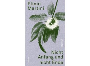 9783857914959 - Nicht Anfang und nicht Ende - Plinio Martini Gebunden