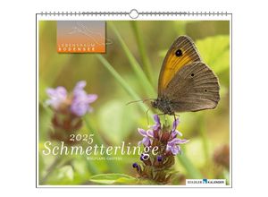 9783861924272 - Lebensraum Bodensee - Schmetterlinge 2025