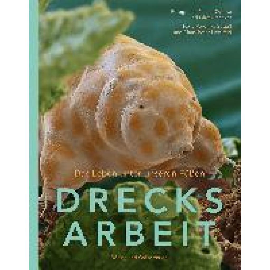 9783862181728 - Straaß Veronika DRECKSARBEIT
