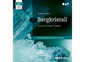 9783862317233 - Bergkristall1 Audio-CD 1 MP3 - Adalbert Stifter (Hörbuch)