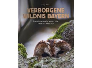 9783862467372 - Verborgene Wildnis Bayern - Ferry Böhme Gebunden