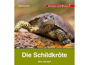 9783863164652 - Die Schildkröte - Barbara Rath Gebunden