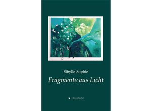 9783864551260 - Fragmente aus Licht - Sibylle Sophie Gebunden