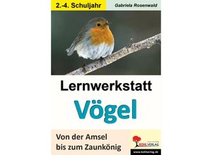 9783866323353 - Lernwerkstatt   Lernwerkstatt Vögel - Gabriela Rosenwald Kartoniert (TB)