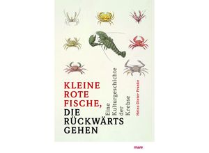 9783866487130 - »Kleine rote Fische die rückwärtsgehen« - Heinz-Dieter Franke Gebunden