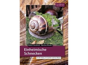 9783866591912 - Einheimische Schnecken - Robert Nordsiek Martina Eleveld Kartoniert (TB)