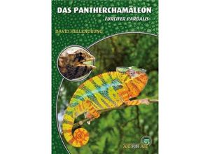 9783866592308 - Das Pantherchamäleon - David Hellendrung Kartoniert (TB)