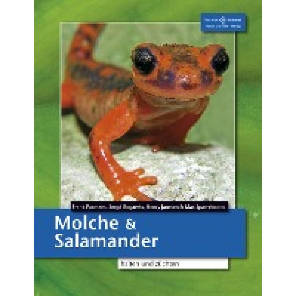 9783866592667 - Pasmans Frank Molche und Salamander