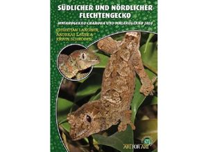 9783866593657 - Art für Art   Geckos 23   Südlicher und Nördlicher Flechtengecko - Christian Langner Andreas Laube Erwin Schröder Kartoniert (TB)