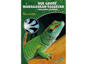 9783866594913 - Art für Art   Taggeckos 1   Der Große Madagaskar-Taggecko - Ingo Kober Kartoniert (TB)