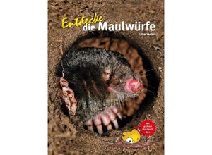 9783866595118 - Entdecke die Maulwürfe - Verjans Esther Gebunden