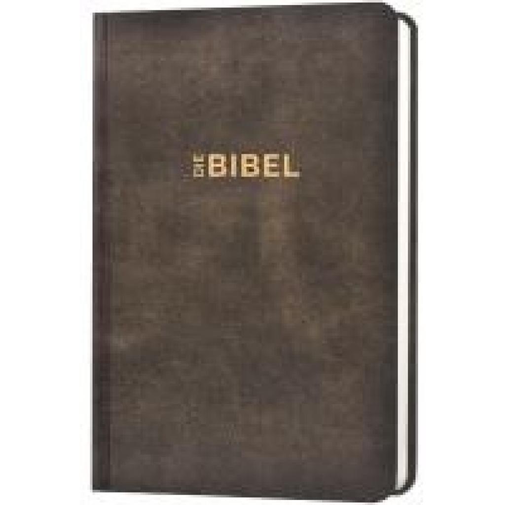 9783866990340 - Schlachter 2000 Bibel - Taschenausgabe (Hardcover illustrierter Einband Antikleder-Optik)