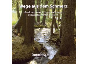 9783867229890 - Wege Aus Dem Schmerz - Dorothea Mihm (CD)