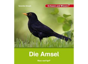 9783867607643 - Die Amsel - Veronika Straaß Gebunden