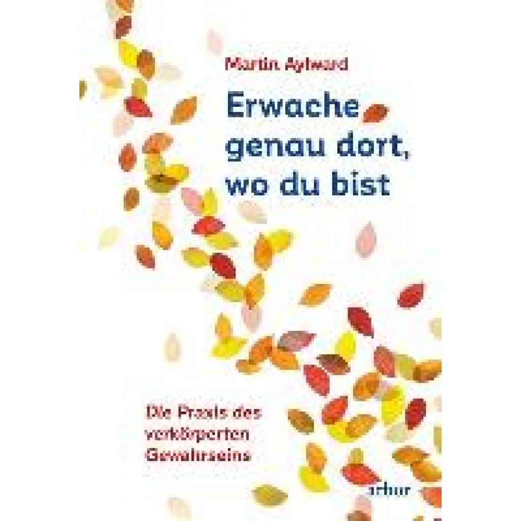 9783867813907 - Aylward Martin Erwache genau dort wo du bist