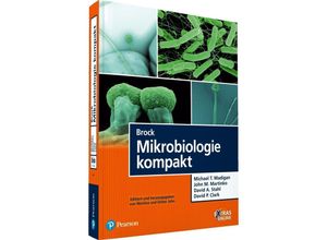 9783868942606 - Brock Mikrobiologie kompakt - Michael T Madigan John M Martinko David A Stahl David P Clark Kartoniert (TB)