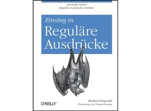 9783868999402 - Einstieg in Reguläre Ausdrücke - Michael Fitzgerald Gebunden