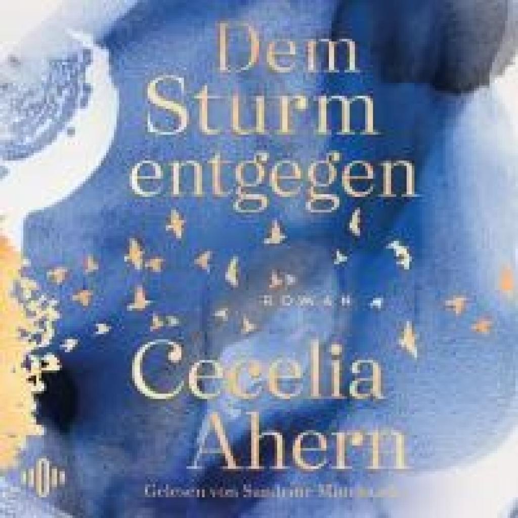 9783869525570 - Ahern Cecelia Dem Sturm entgegen