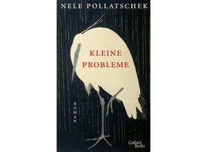 9783869712406 - Kleine Probleme - Nele Pollatschek Gebunden