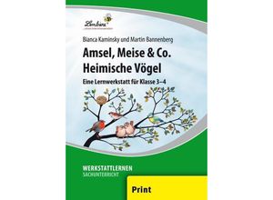 9783869988795 - Amsel Meise & Co Heimische Vögel - B Kaminsky M Bannenberg Loseblatt