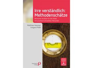 9783884146743 - Fachwissen   Irre Verständlich Methodenschätze - Matthias Hammer Irmgard Plößl Gebunden