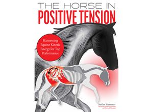 9783885426783 - The Horse in Positive Tension - Stefan Stammer Taschenbuch