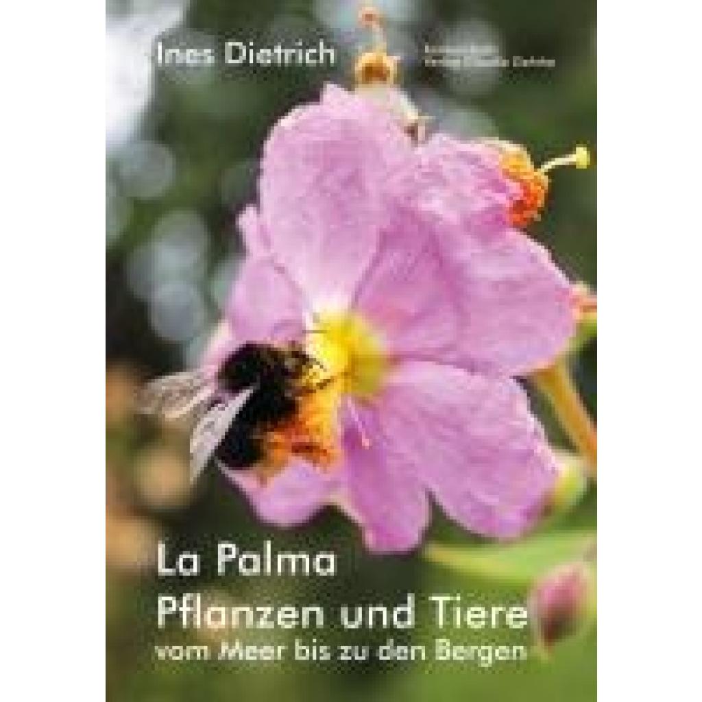 9783887690069 - Ines Dietrich La Palma Pflanzen und Tiere vom Meer bis zu den Bergen